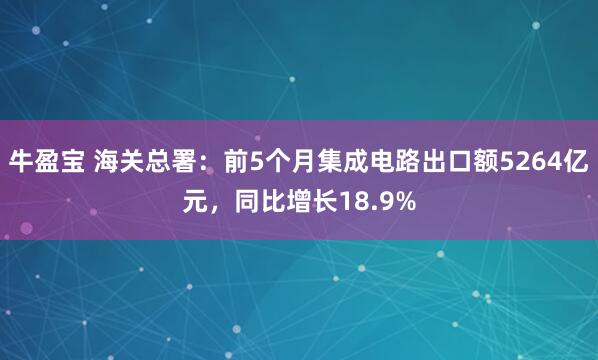 牛盈宝 海关总署：前5个月集成电路出口额5264亿元，同比增长18.9%