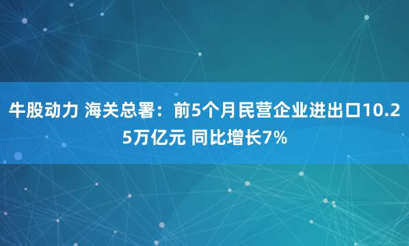 牛股动力 海关总署：前5个月民营企业进出口10.25万亿元 同比增长7%