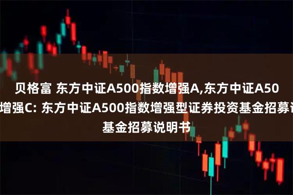贝格富 东方中证A500指数增强A,东方中证A500指数增强C: 东方中证A500指数增强型证券投资基金招募说明书