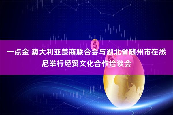 一点金 澳大利亚楚商联合会与湖北省随州市在悉尼举行经贸文化合作洽谈会