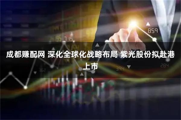 成都赚配网 深化全球化战略布局 紫光股份拟赴港上市