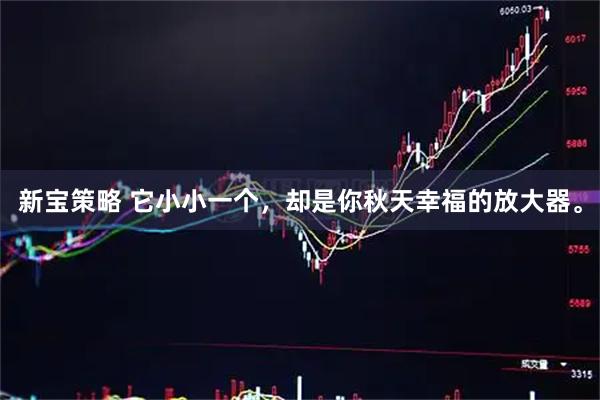新宝策略 它小小一个,却是你秋天幸福的放大器。